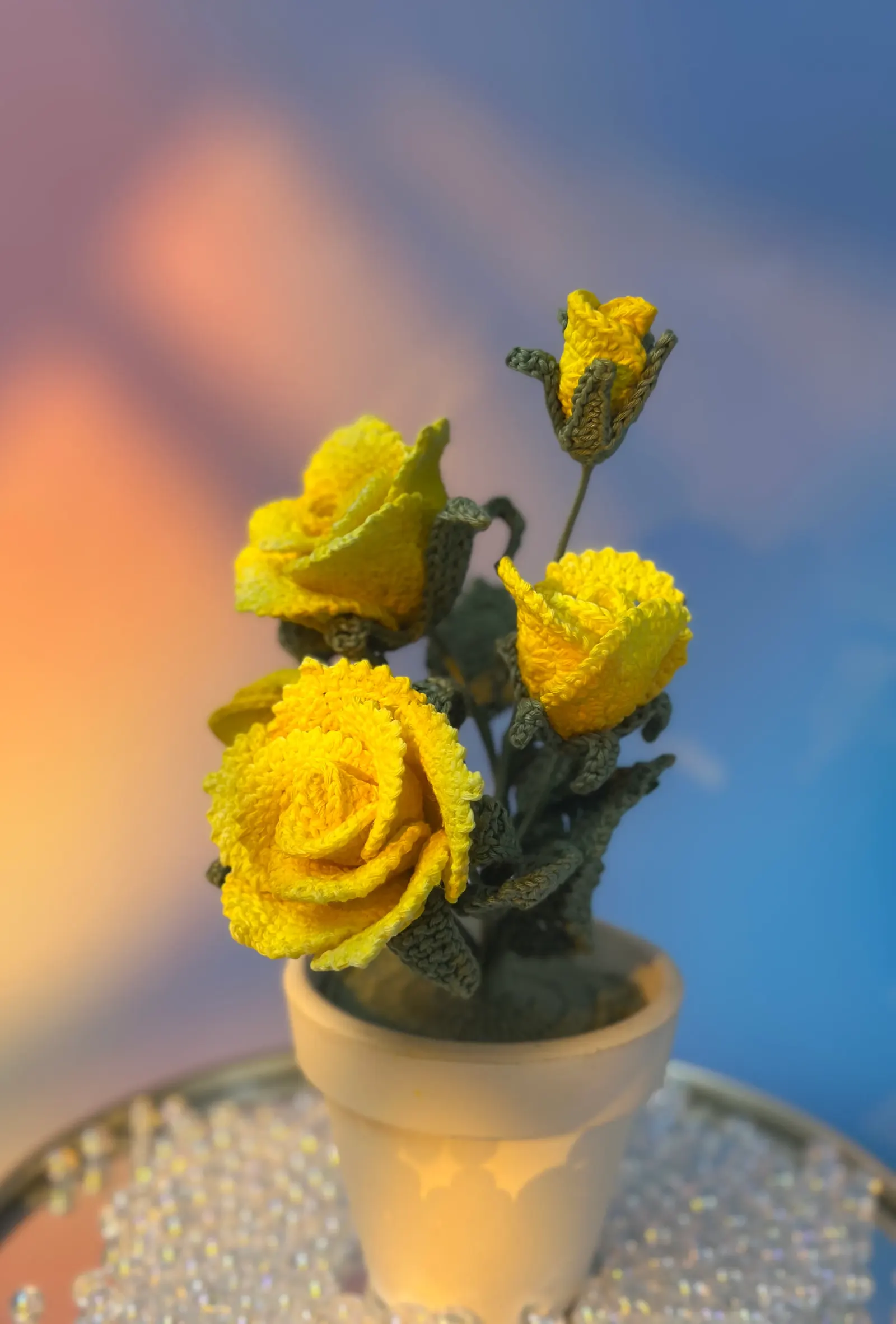 Chậu hoa hồng mini để bàn