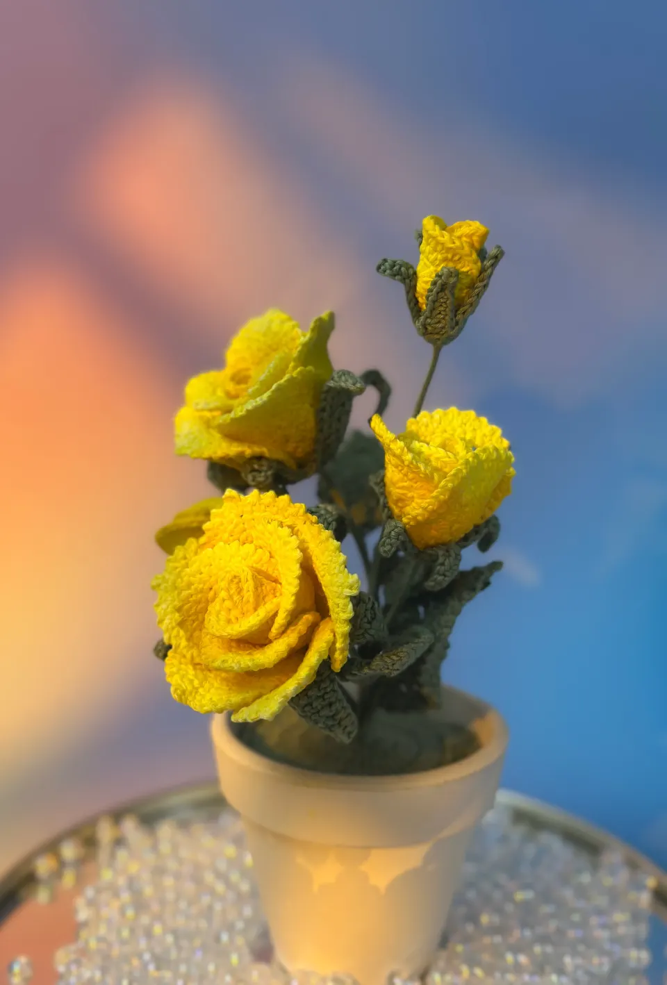 Chậu hoa hồng mini để bàn